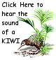 Click here for the sound of a KIWI